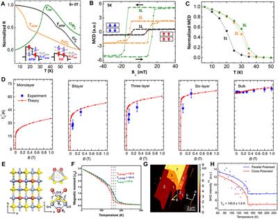 Two-dimensional Cr-based ferromagnetic semiconductor: Theoretical simulations and design